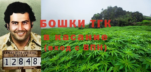 PSILOCYBIN Алзамай