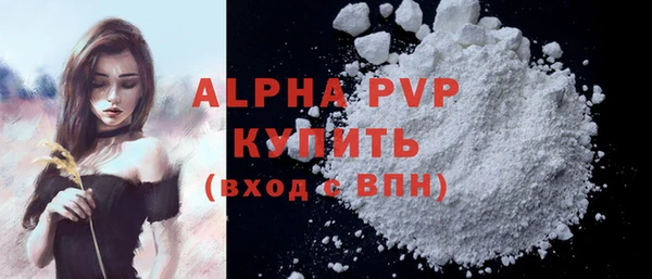 СК Алексин