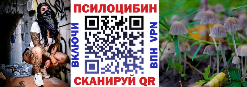 omg ССЫЛКА  Кремёнки  Псилоцибиновые грибы MAGIC MUSHROOMS 